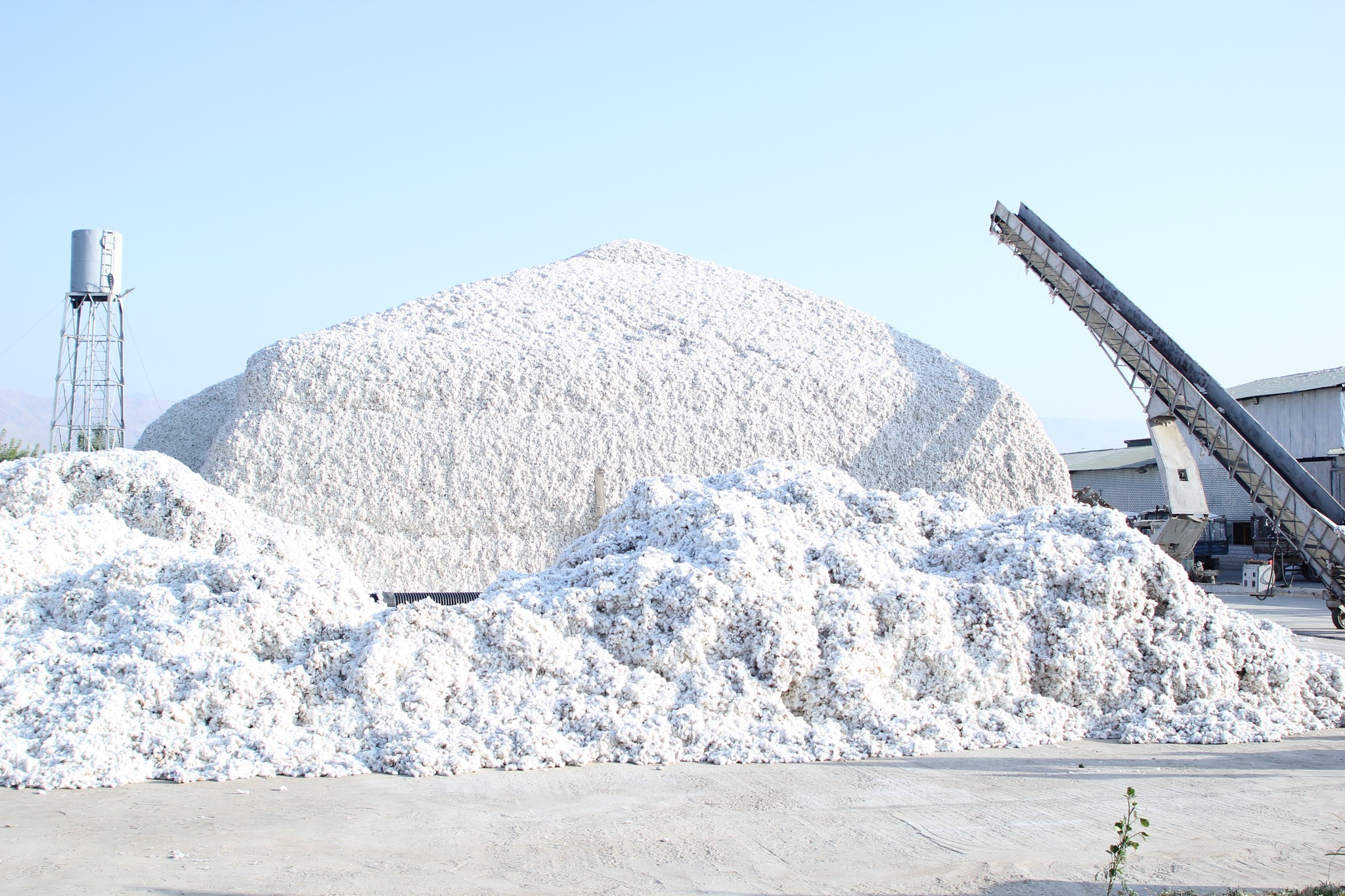 Cotton harvesting in Khatlon region is 91.5% complete