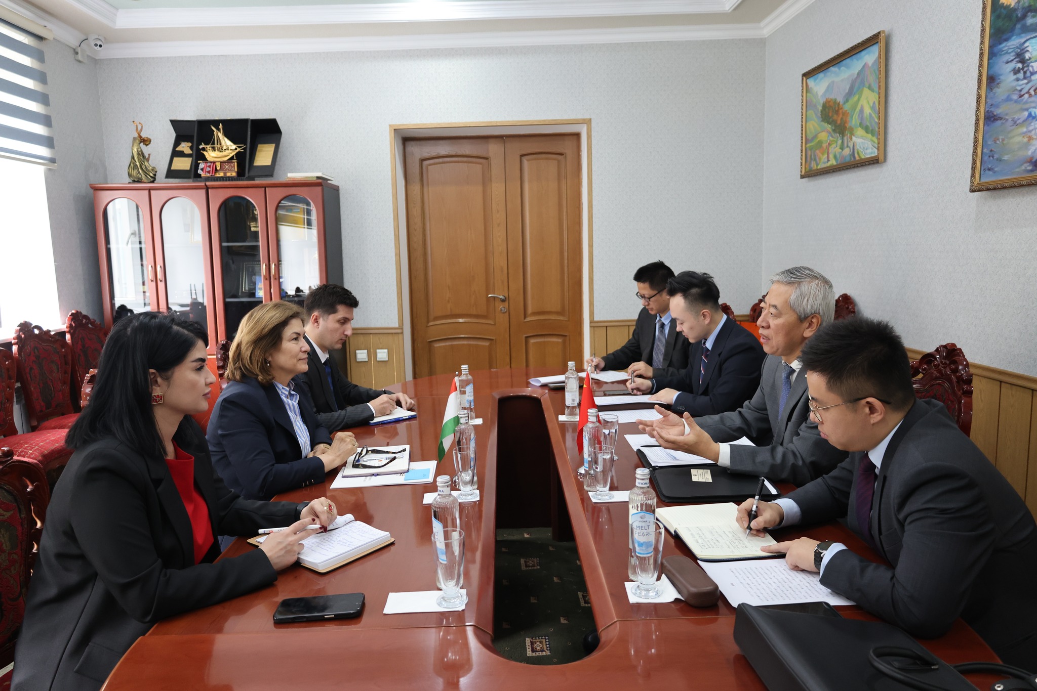 The holding of Chinese Culture Days in Tajikistan was discussed in Dushanbe.