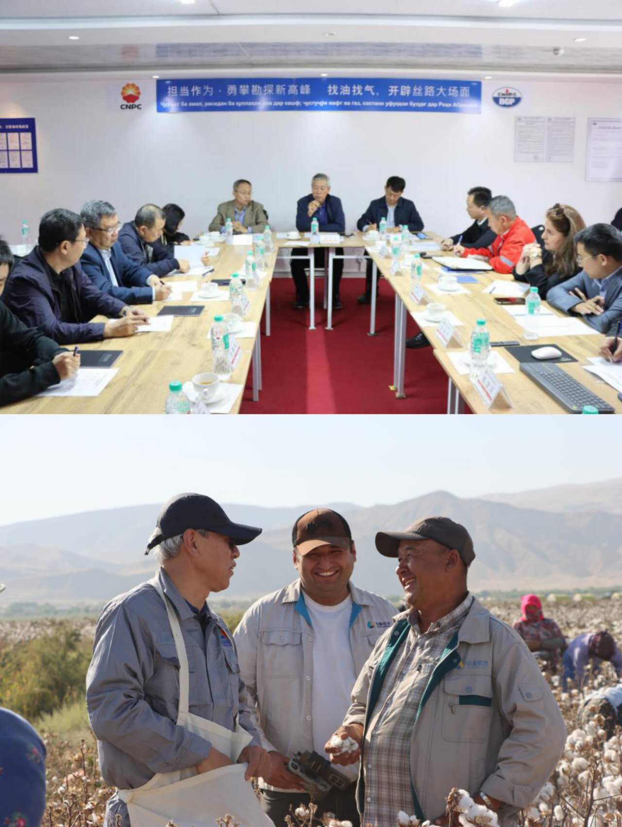 The Chinese Ambassador took part in the cotton harvest in Tajikistan.