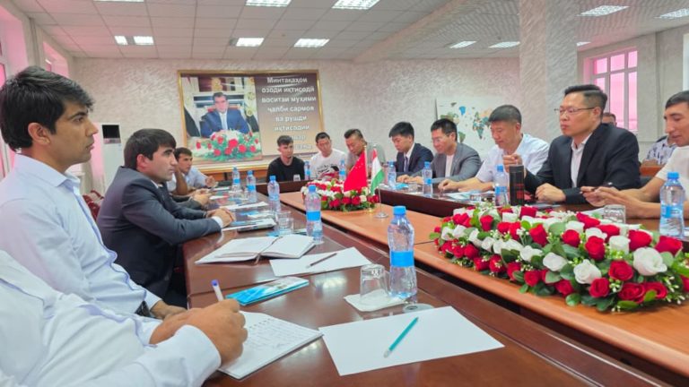 Chinese investors visited the Dangara Free Economic Zone
