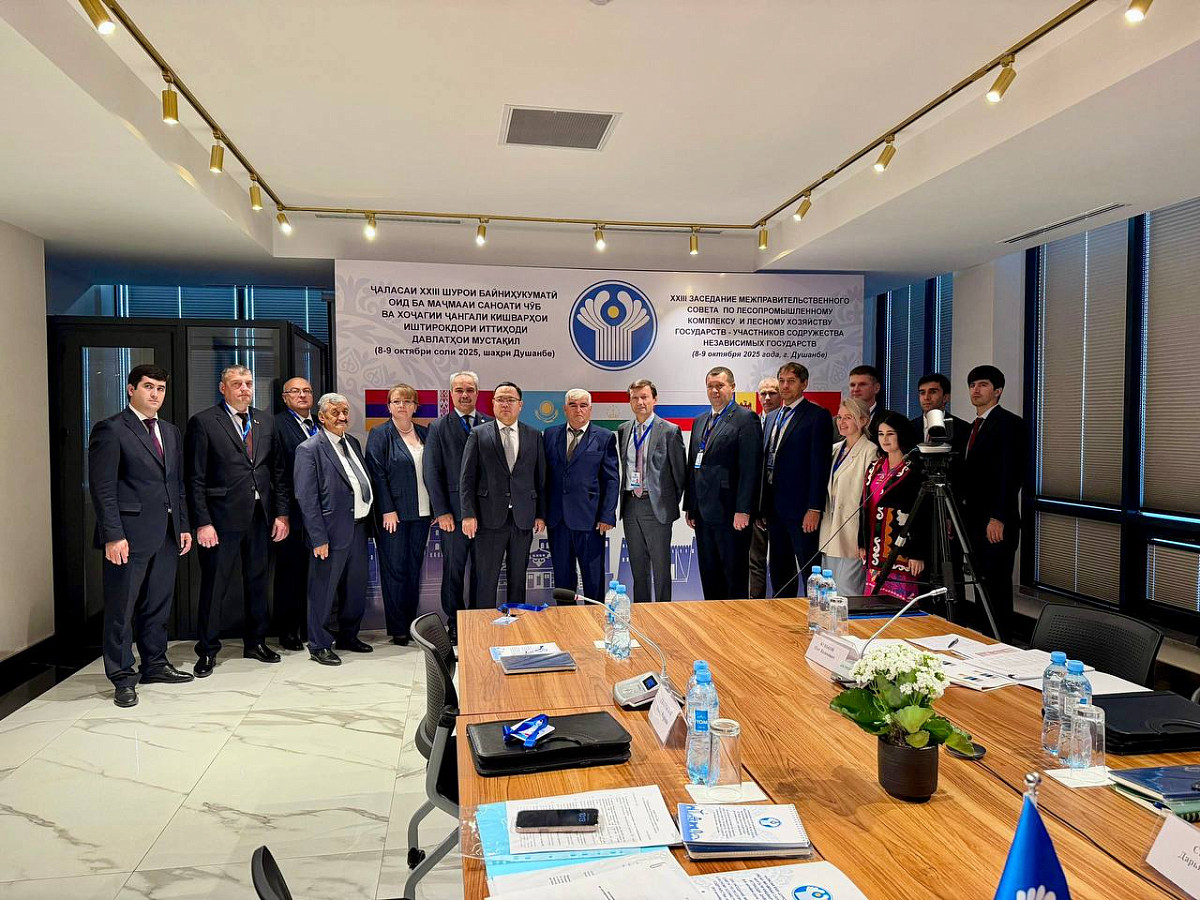 The 23rd meeting of the Intergovernmental Council on the Forestry and Forestry Complex was held in Dushanbe.