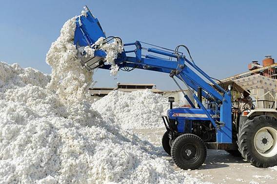 Yavan district has fully fulfilled its cotton harvest plan.