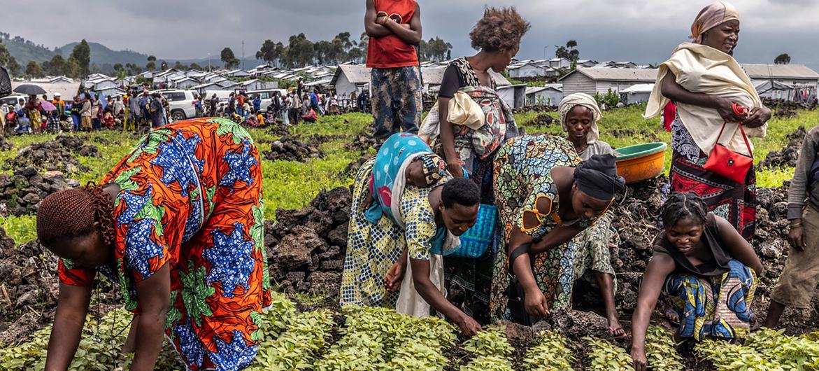 UN: More than 670 million people worldwide suffer from hunger due to conflict, climate and economic crises