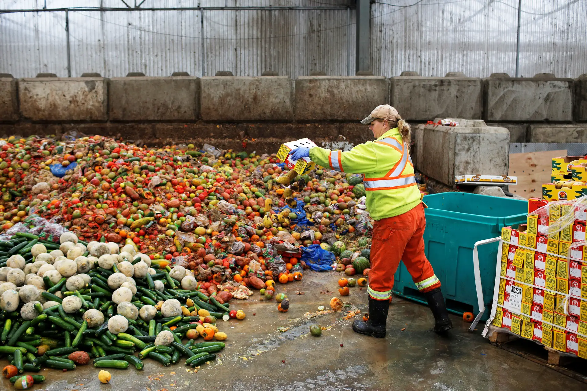 UN: Reducing food waste benefits society, the economy and the planet