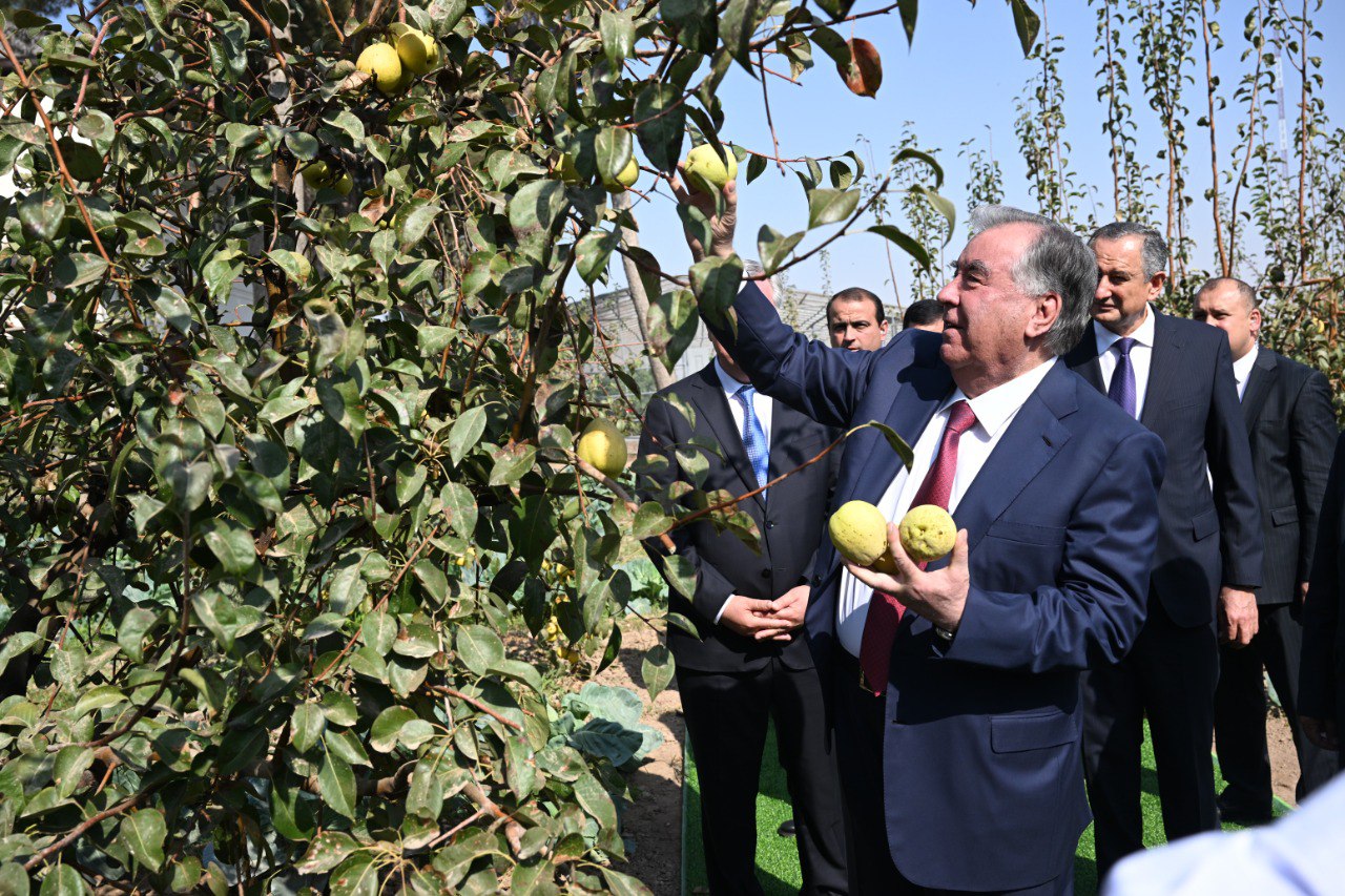 Emomali Rahmon opened a new Health Center in the Dangara district and visited a farm garden in the Vose district.