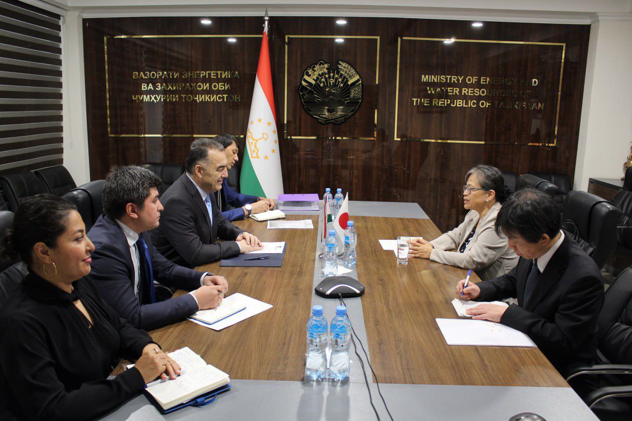 Dushanbe discussed developing energy cooperation with Japan
