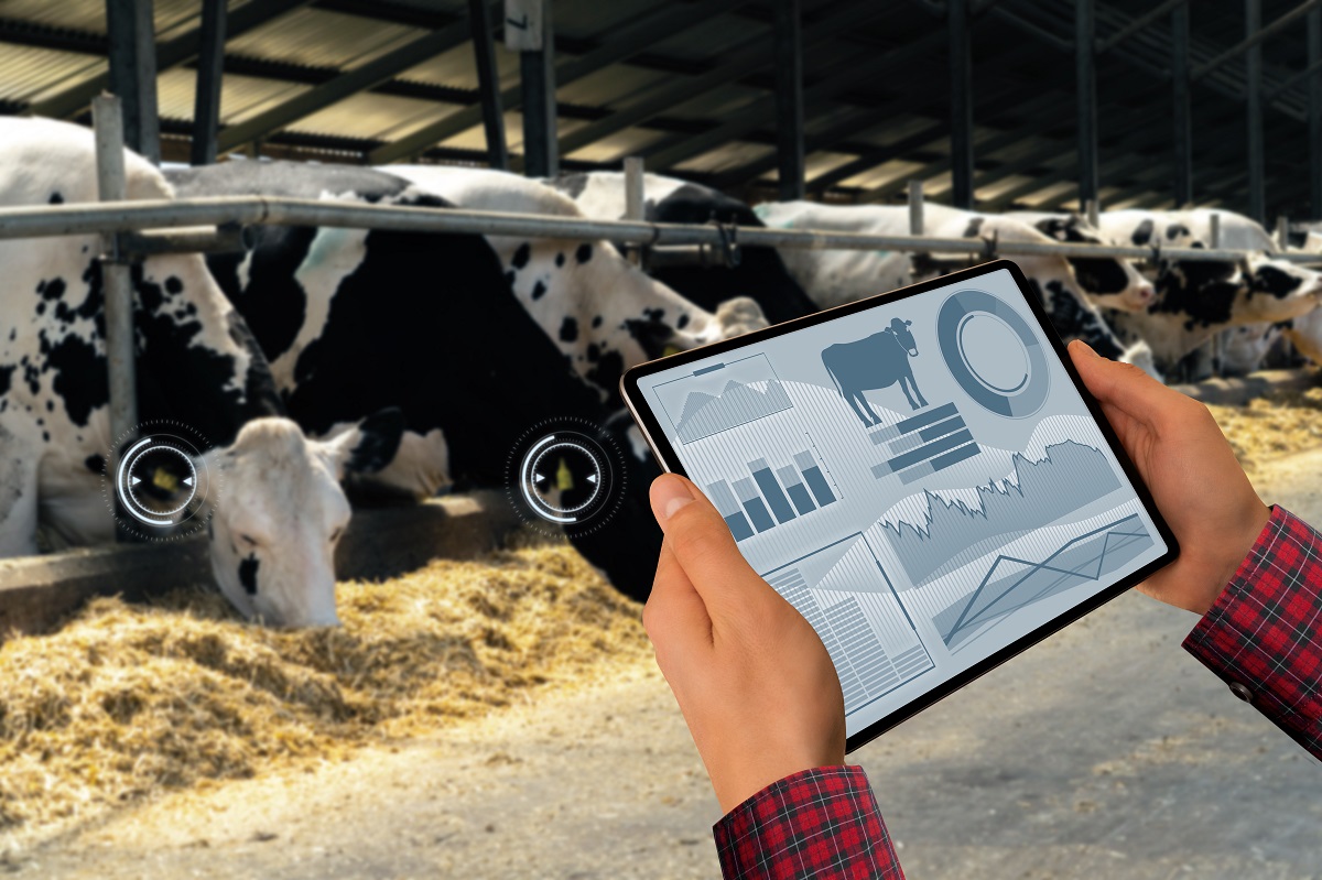 ADB has allocated $17 million for digitalization and modernization of livestock farming in Tajikistan.