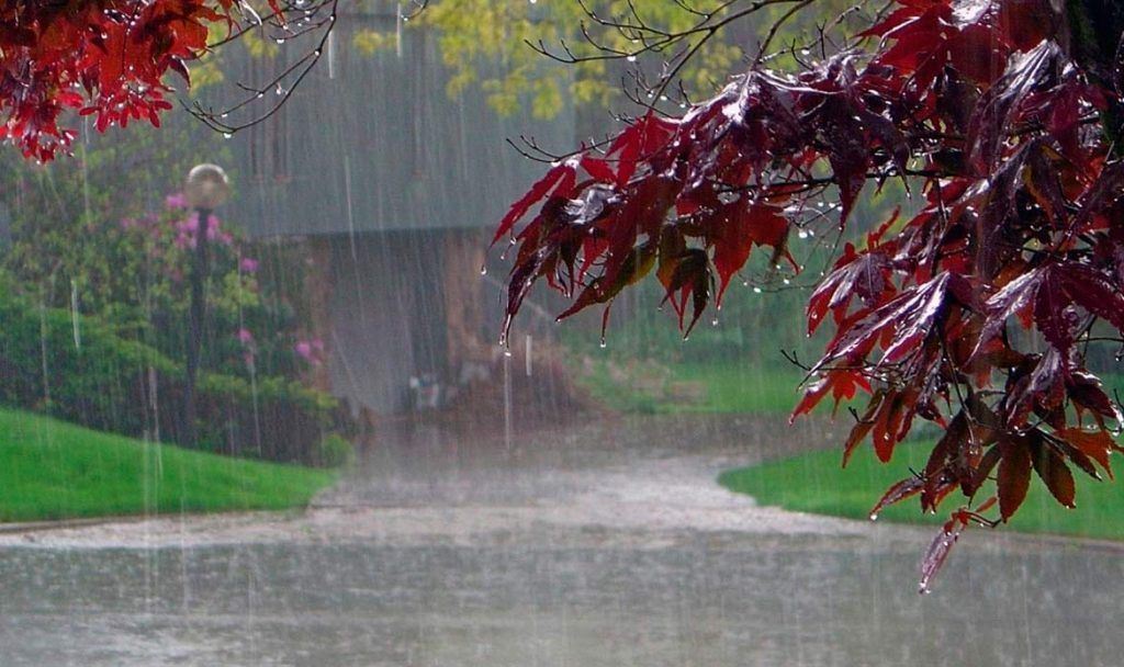Snow, rain, strong winds and dust storms are expected in Tajikistan from November 3 to 5.