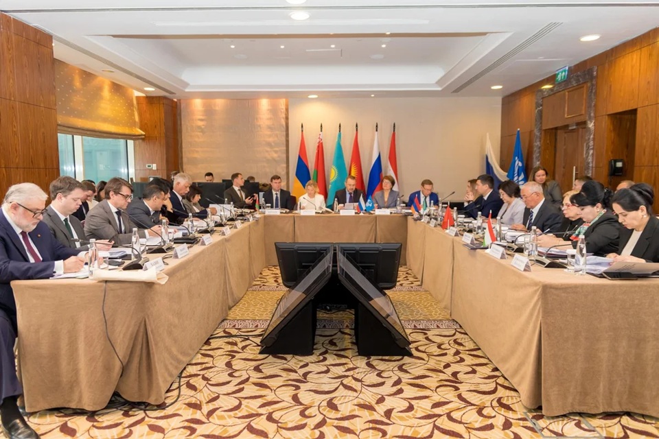 The CIS has defined further cooperation between Commonwealth countries in the field of education.