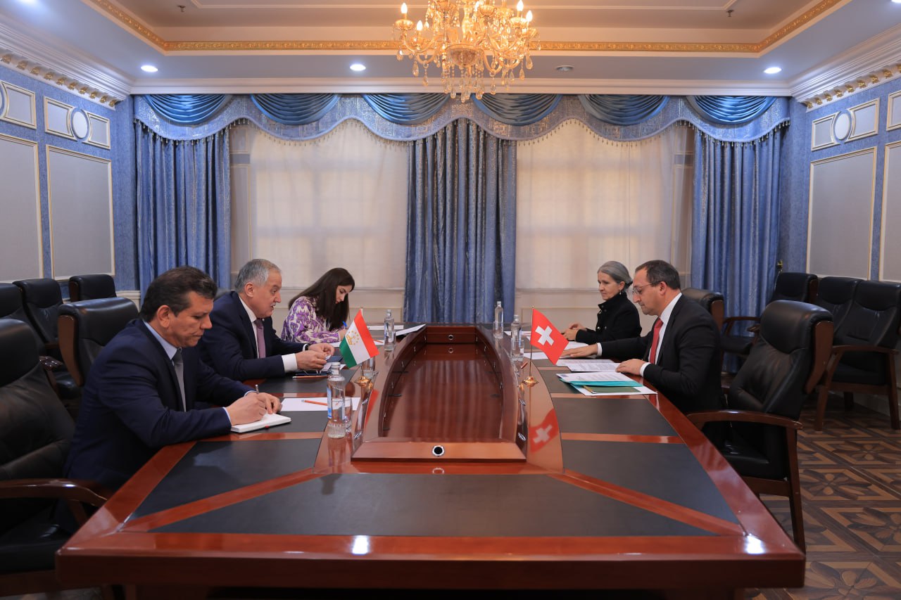 The head of the Tajik Foreign Ministry received the Swiss Ambassador on the occasion of the completion of his mission.