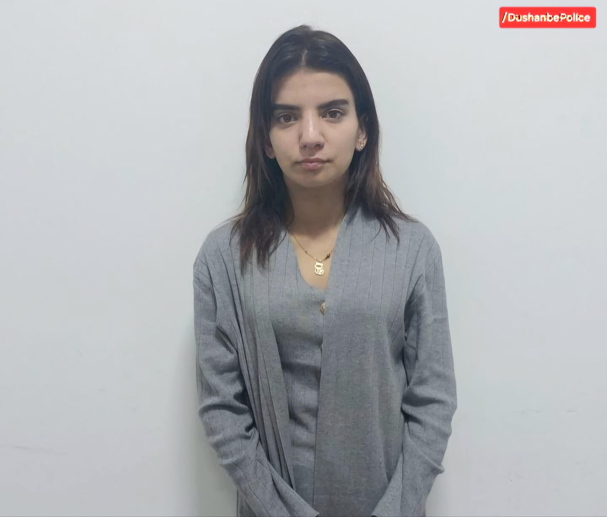 A suspect in the theft of funds from an electronic wallet has been detained in Dushanbe.