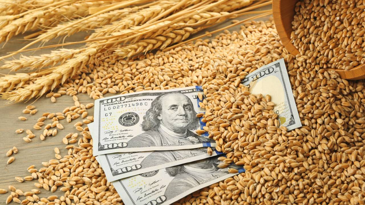 Global food prices fell in October, with a record grain harvest forecast for 2025.