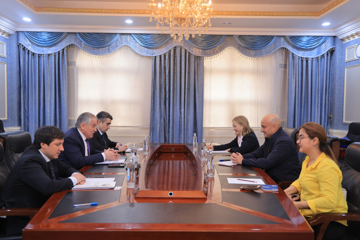 The head of the Tajik Foreign Ministry met with the regional director of the International Water Management Institute.
