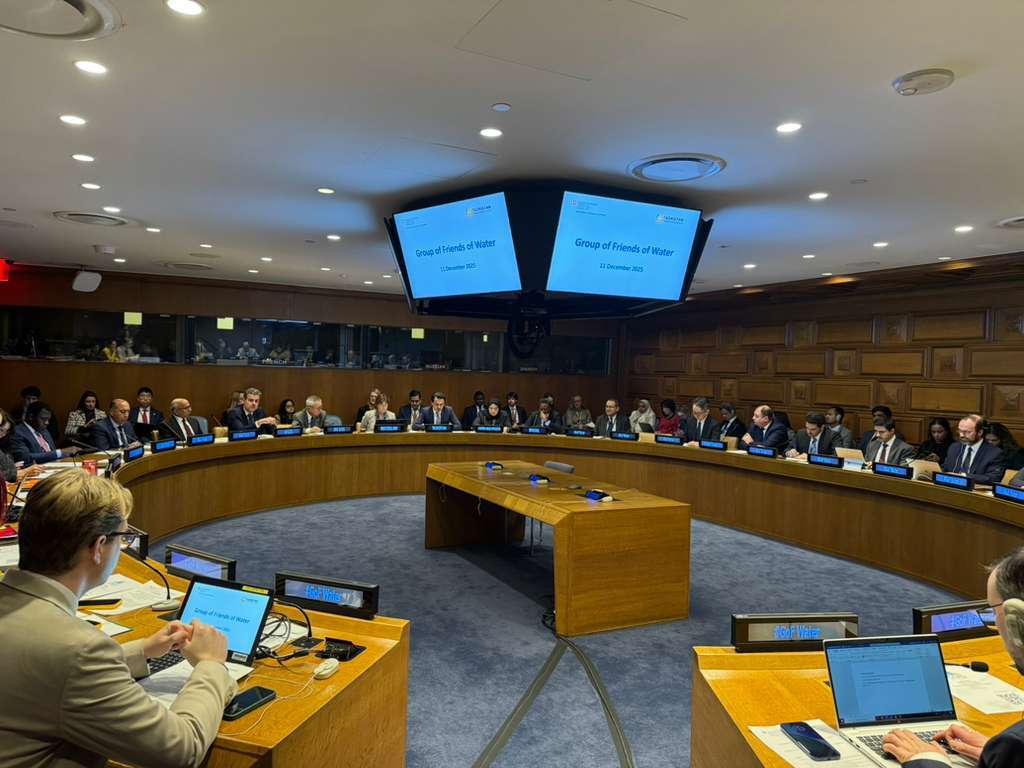 Tajikistan and Switzerland held a meeting of the Water Friends Group