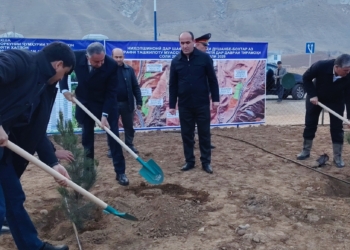 More than 1,000 trees have been planted in the Khatlon region as part of the state greening program.