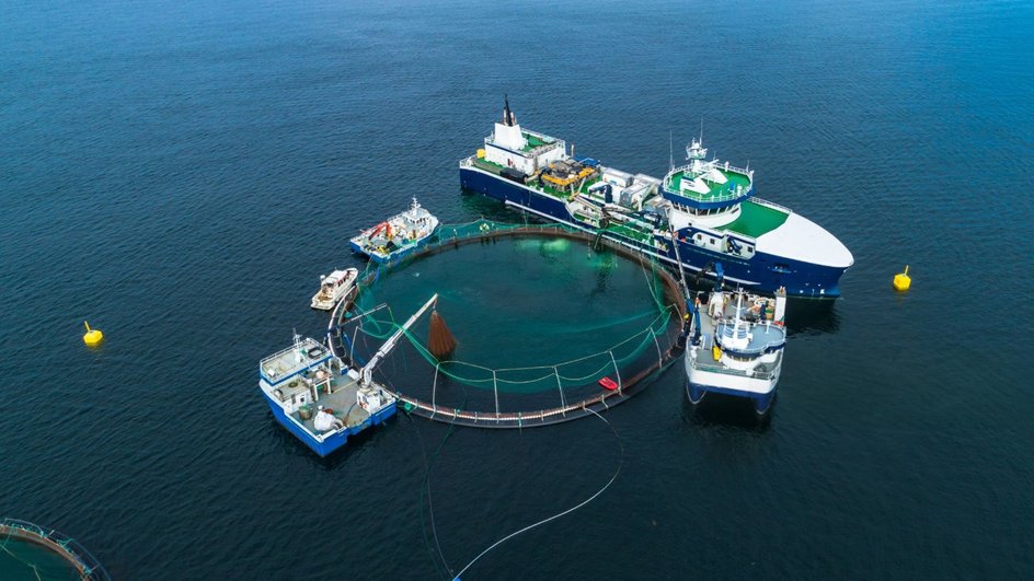 The world's first salmon farming vessel has been launched in China.