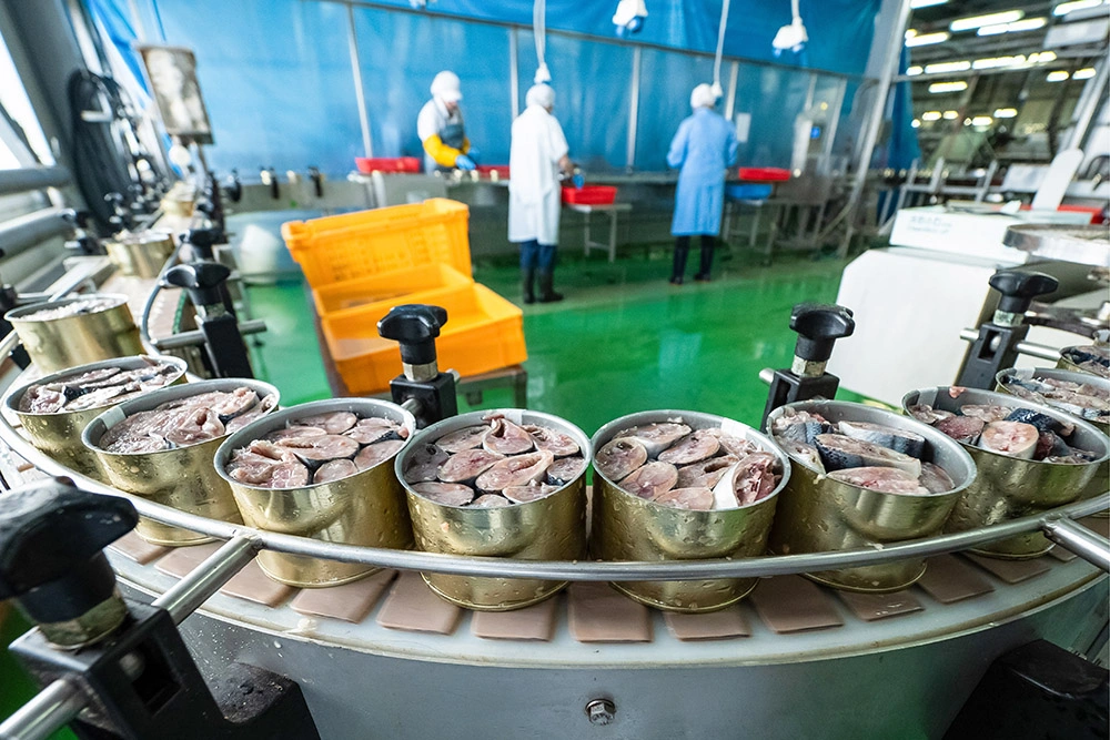 In Guliston, over 5,000 canned fish are produced per shift.