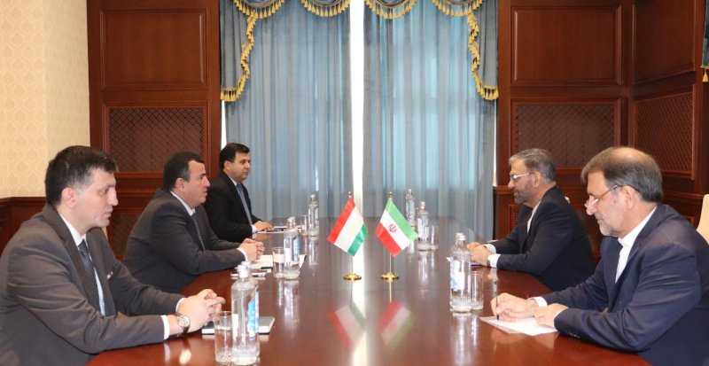 Tajikistan and Iran discussed expanding cooperation in key areas