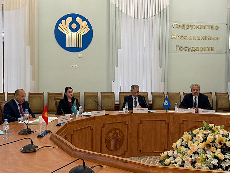 CIS experts discussed cooperation in forestry and the timber industry.