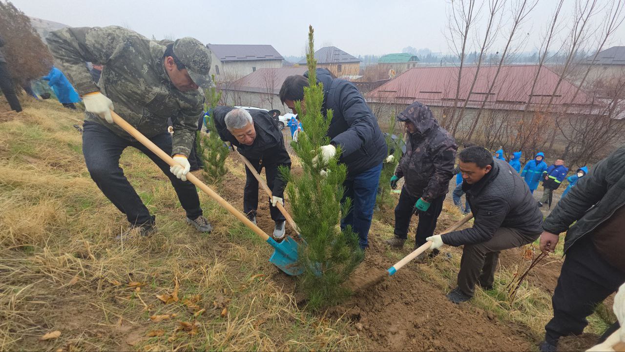A Tajik-Chinese tree planting campaign was held in the Rudaki district.