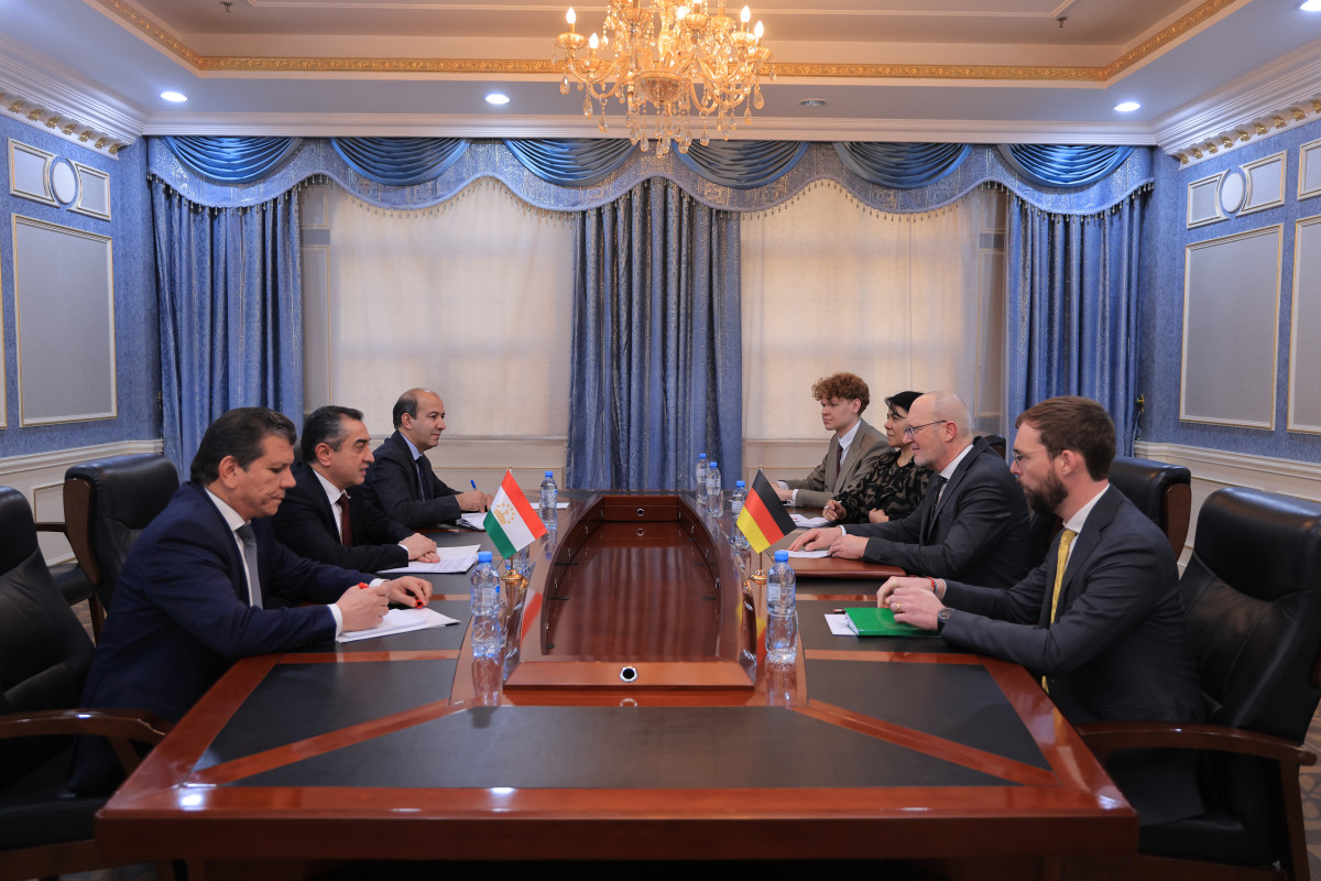 Tajikistan and Germany discussed cooperation within regional and international organizations