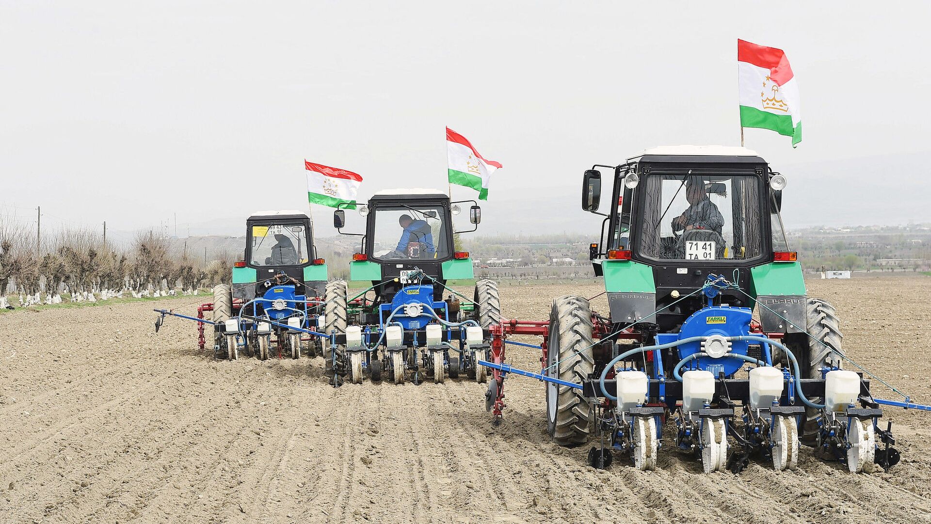 In Tajikistan, more than 274 thousand hectares will be sown with grain in 2026.