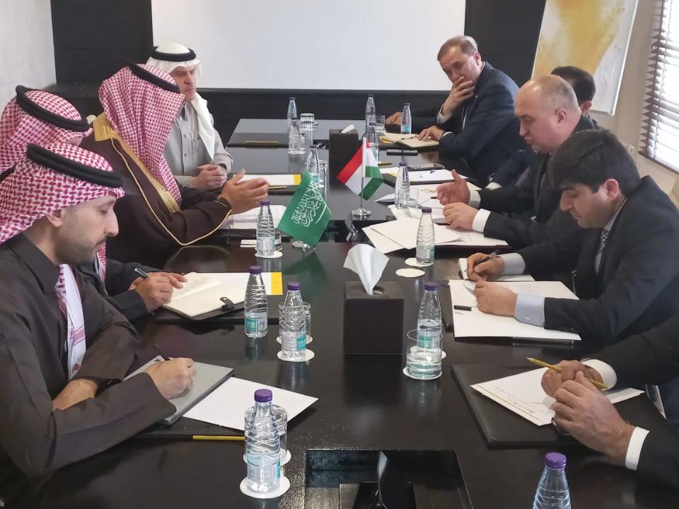 Tajikistan and Saudi Arabia discussed expanding investment cooperation