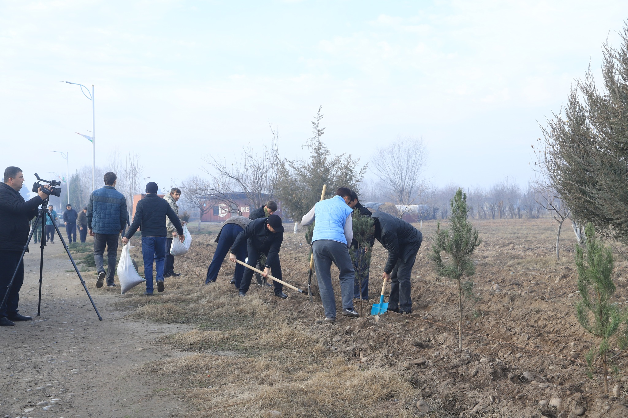 More than 1,000 trees have been planted along the Bokhtar-Levakant highway.
