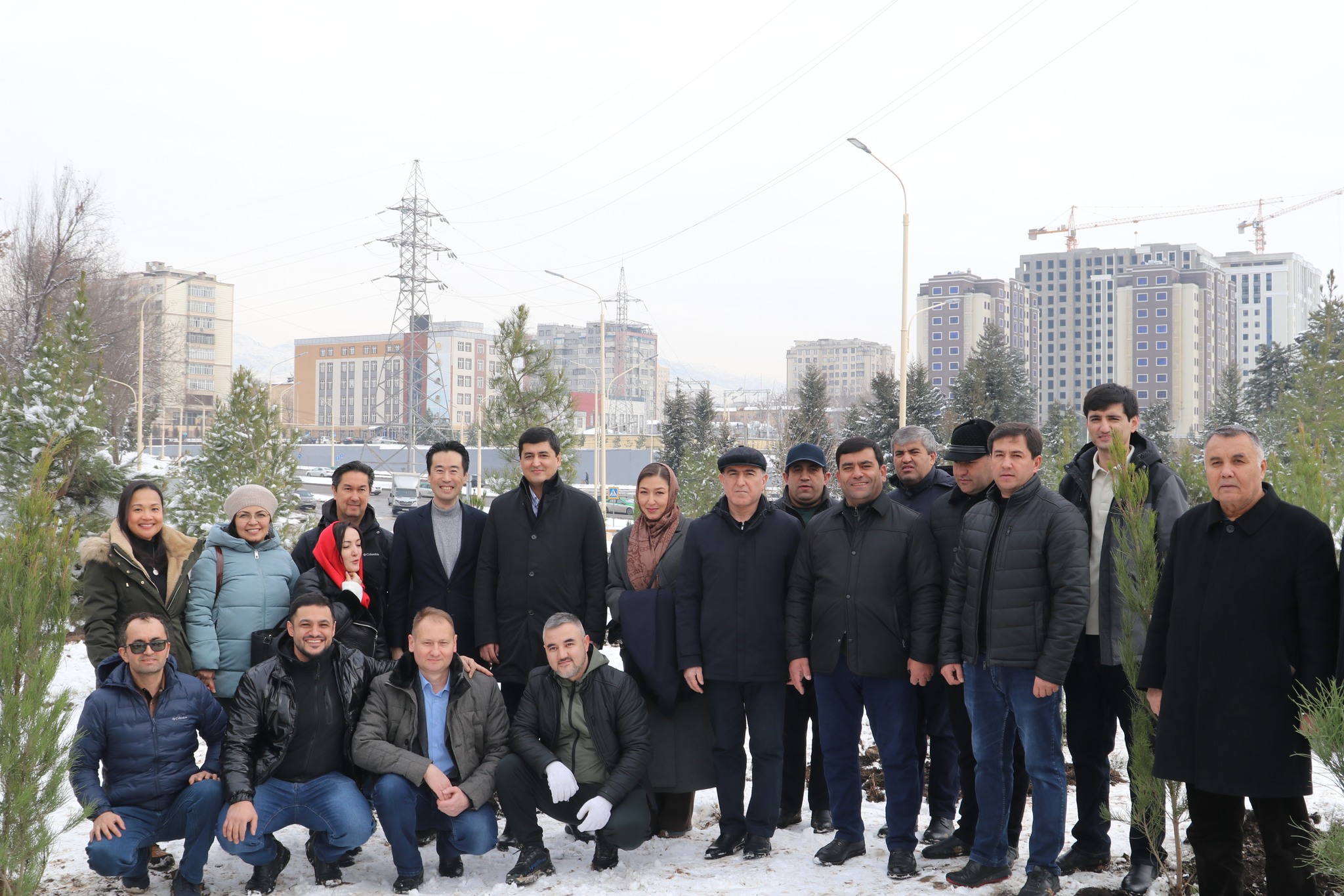 More than 500 pine saplings were planted in Dushanbe as part of the state greening program.