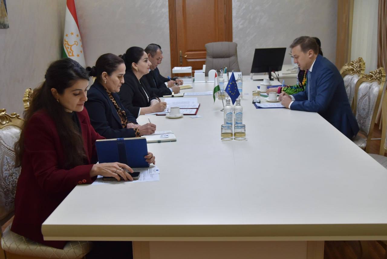 Tajikistan and the EU discussed cooperation in the areas of migration and employment.