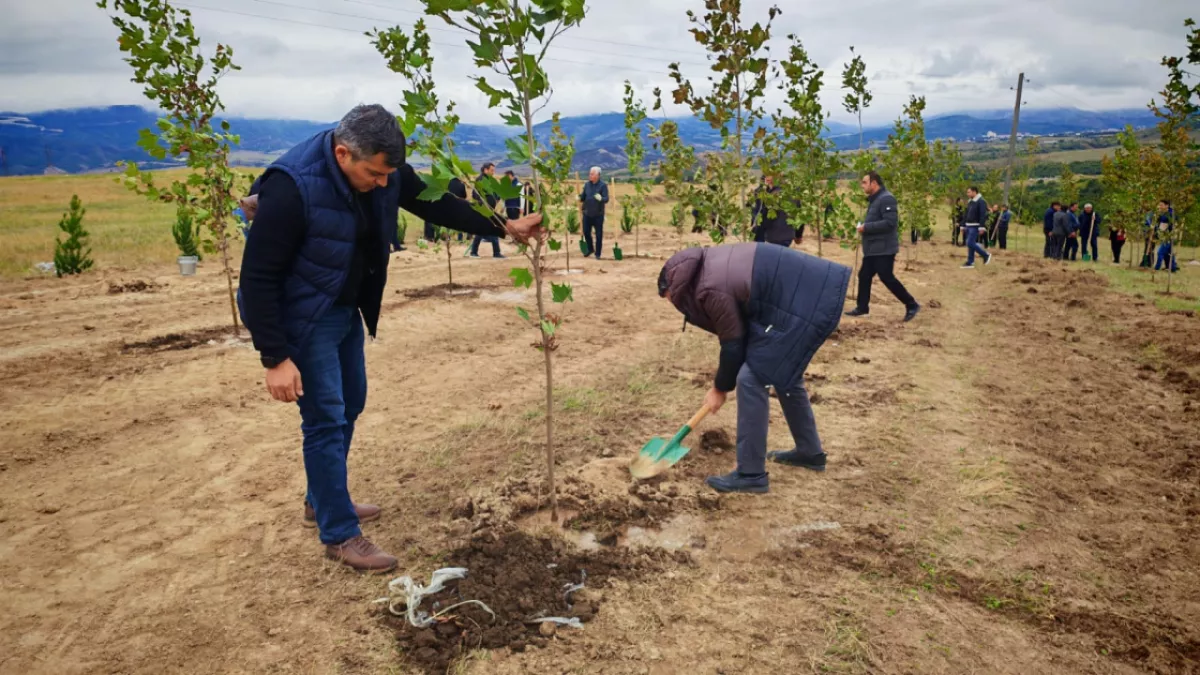 A nationwide tree planting campaign has begun in Tajikistan.