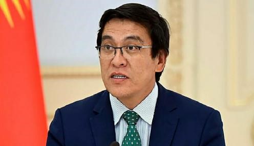 Kyrgyzstan's Deputy Prime Minister proposed revising the visa-free regime for US citizens.