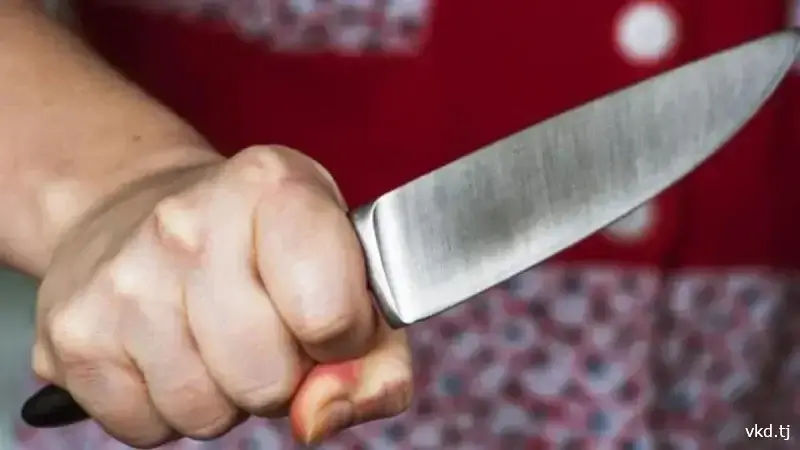 A resident of the Ayni District drove his wife to attempt suicide. A criminal case has been opened.