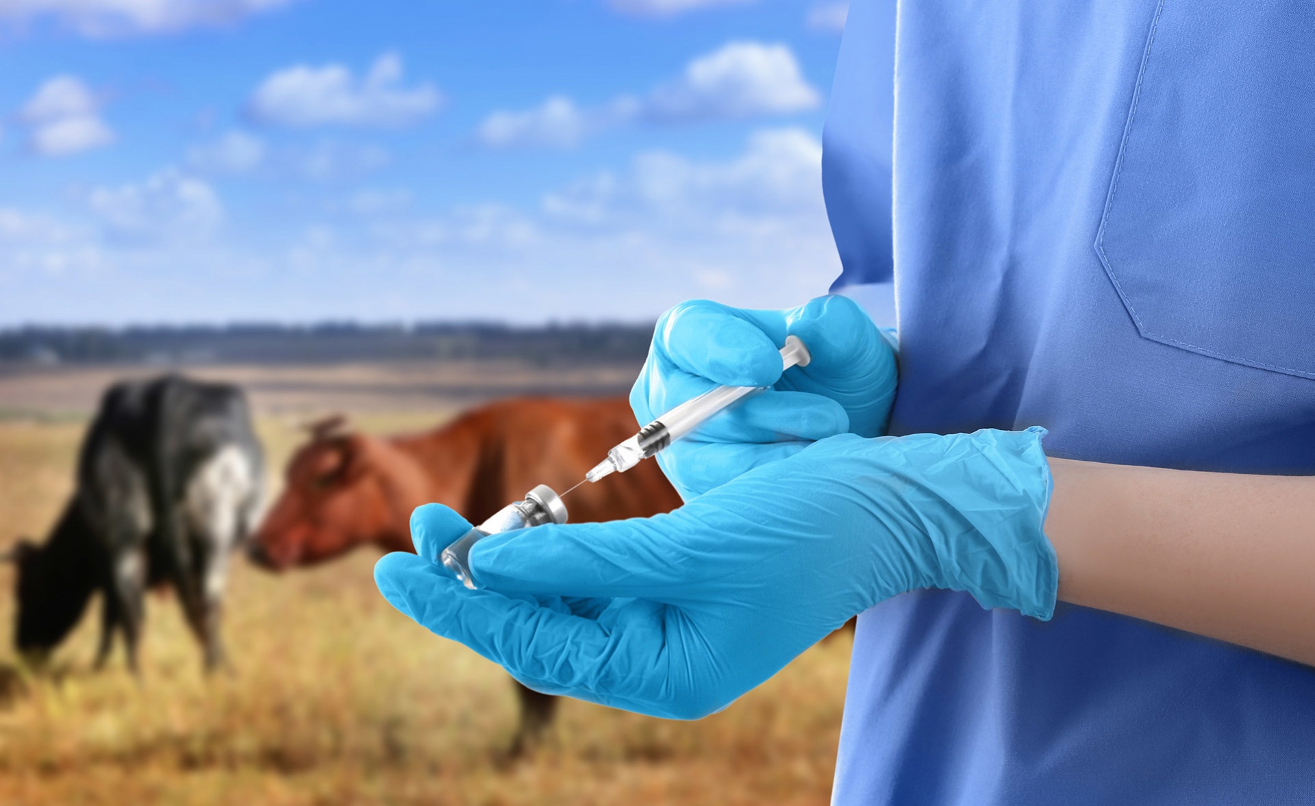 Tajikistan has waived the fee for pet vaccinations.