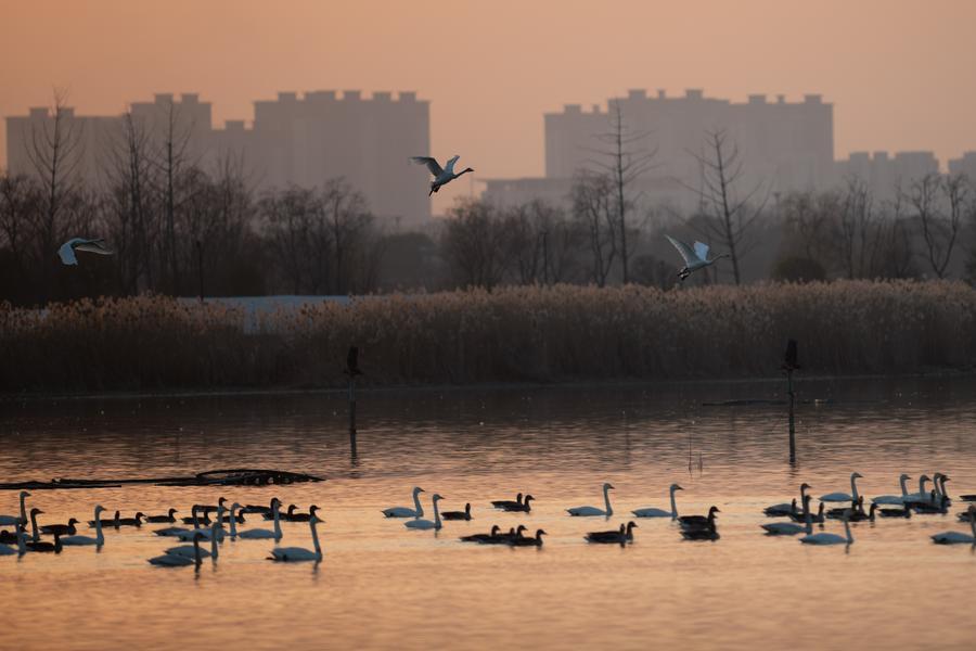 China reports improvement in the ecological environment by 2025