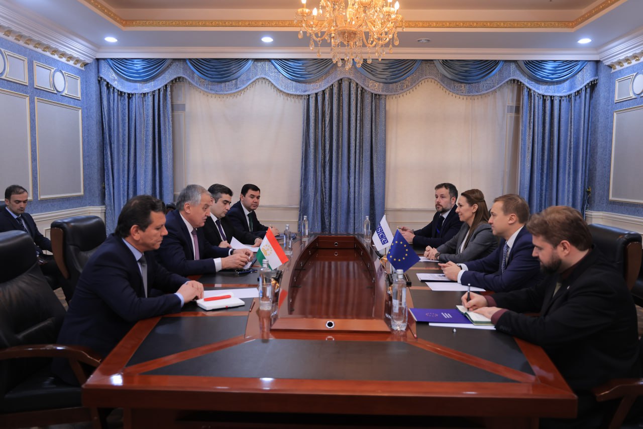 The Minister of Foreign Affairs of Tajikistan met with the heads of the EU delegation and the OSCE Programme Office
