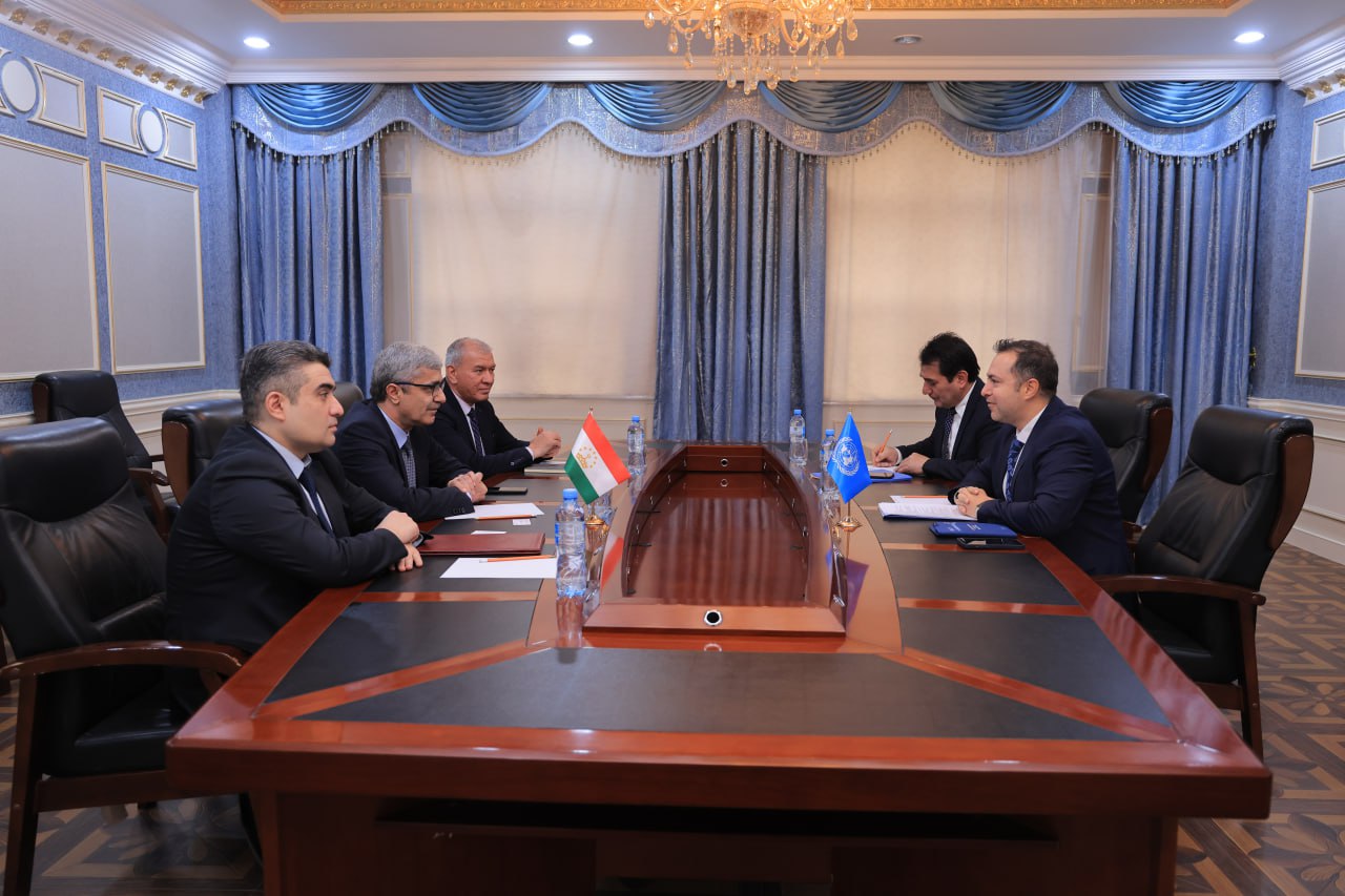 Tajikistan's Deputy Foreign Minister discussed cooperation with an FAO representative.