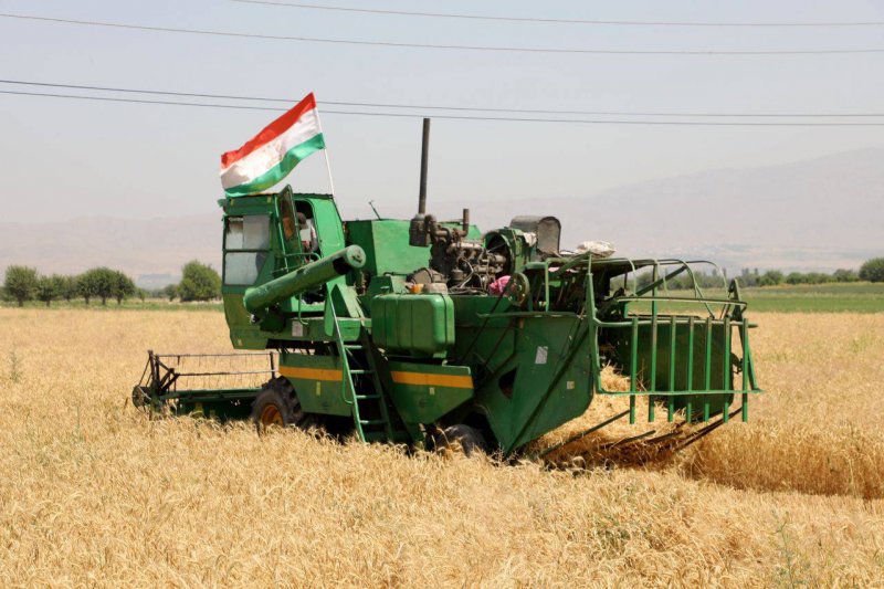 In Tajikistan, grain will be sown on more than 274,000 hectares in 2026.