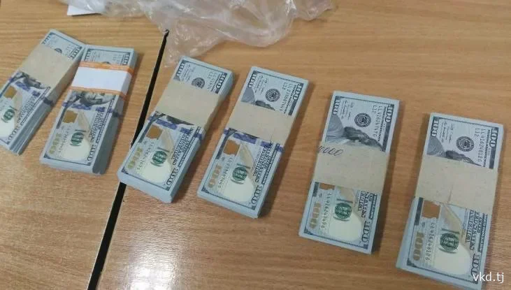 Fraud suspects detained in Dushanbe and Vose district