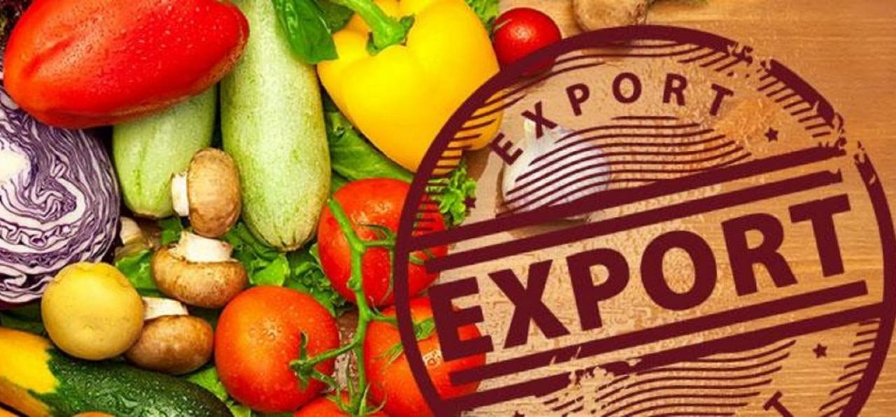 Tajikistan and Russia have launched a joint agricultural venture to export products to the Russian Federation.