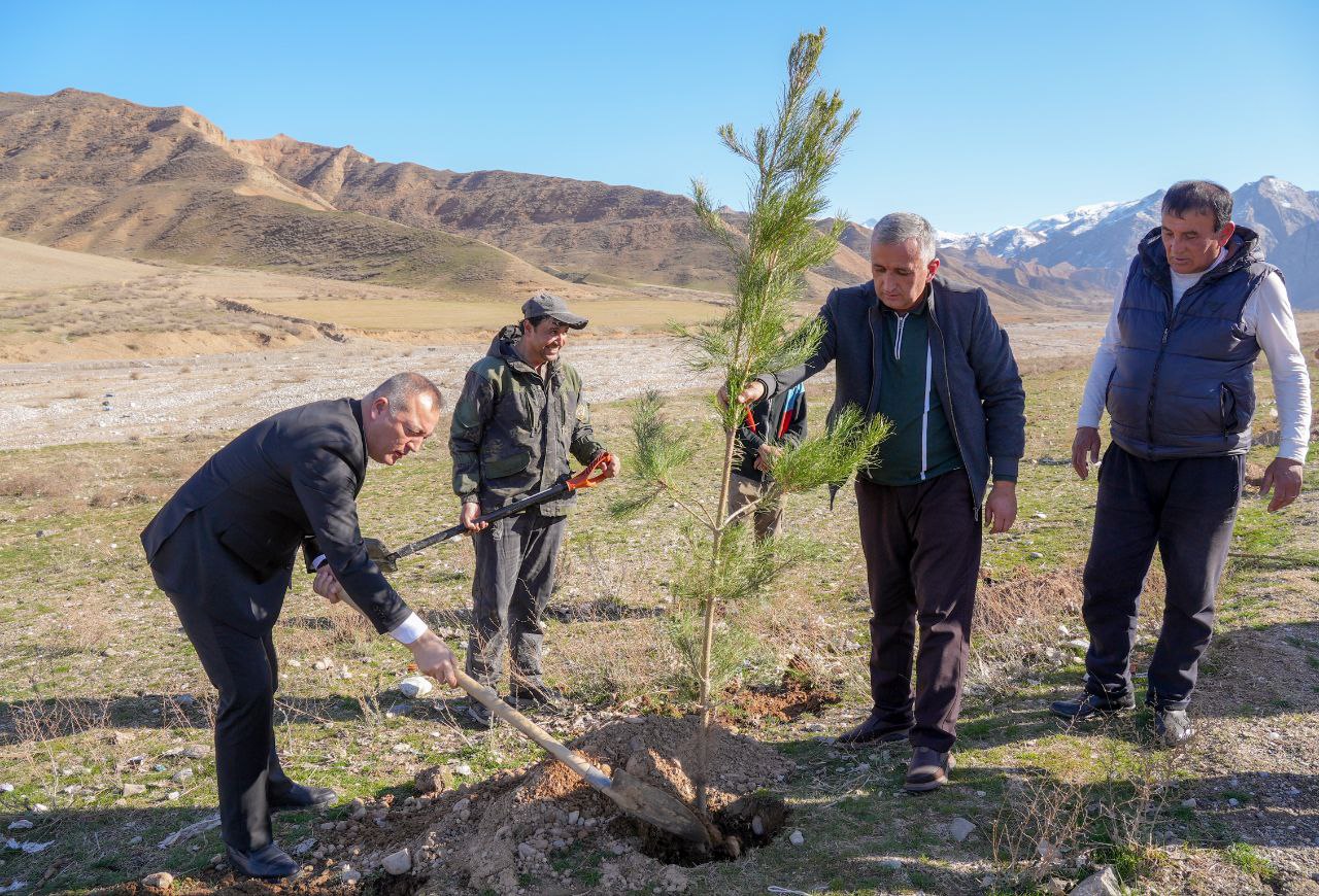 More than 300 ornamental tree saplings were planted in the village of Mazor.
