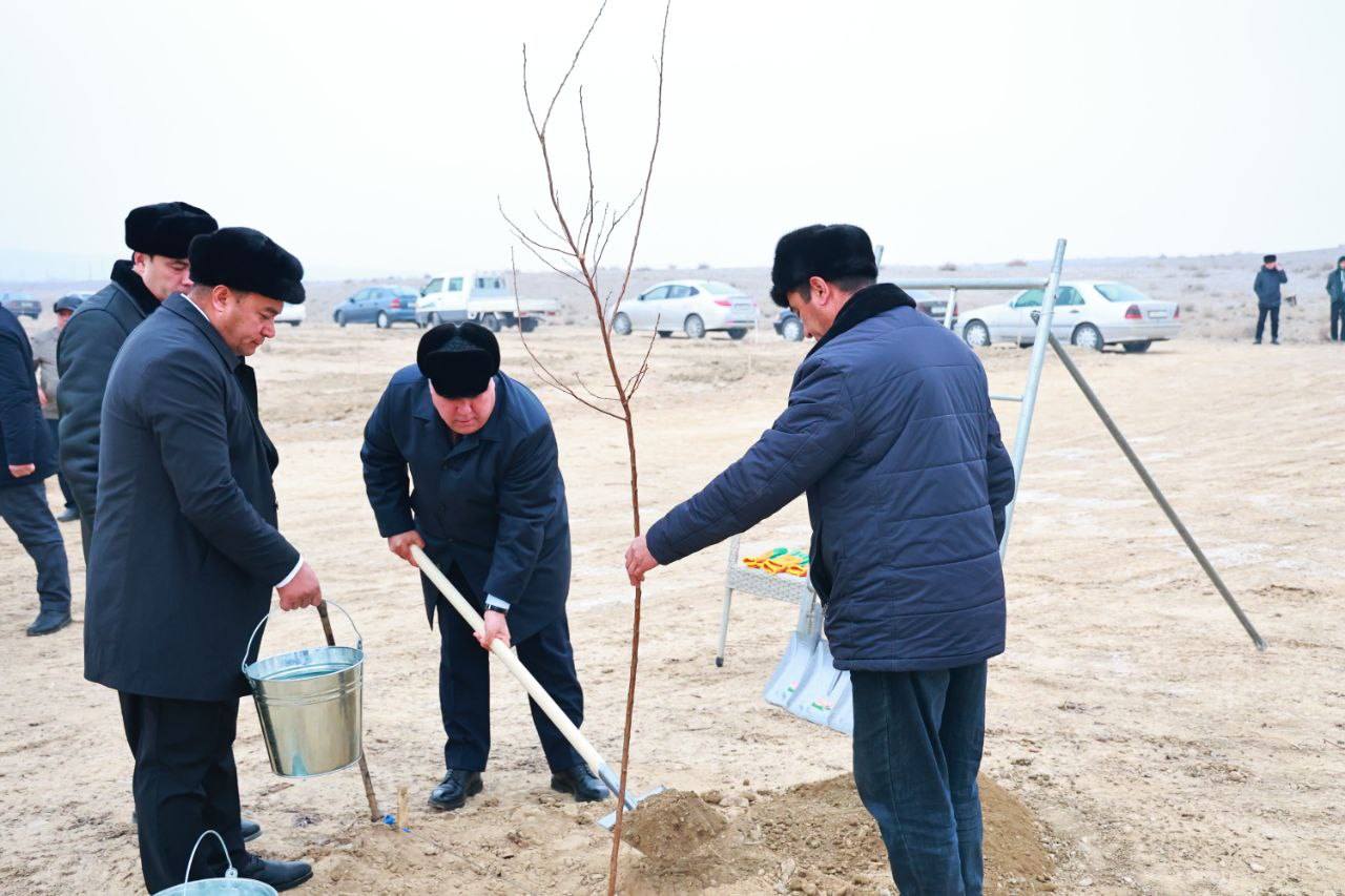 Land development and gardening projects are underway in Isfara.