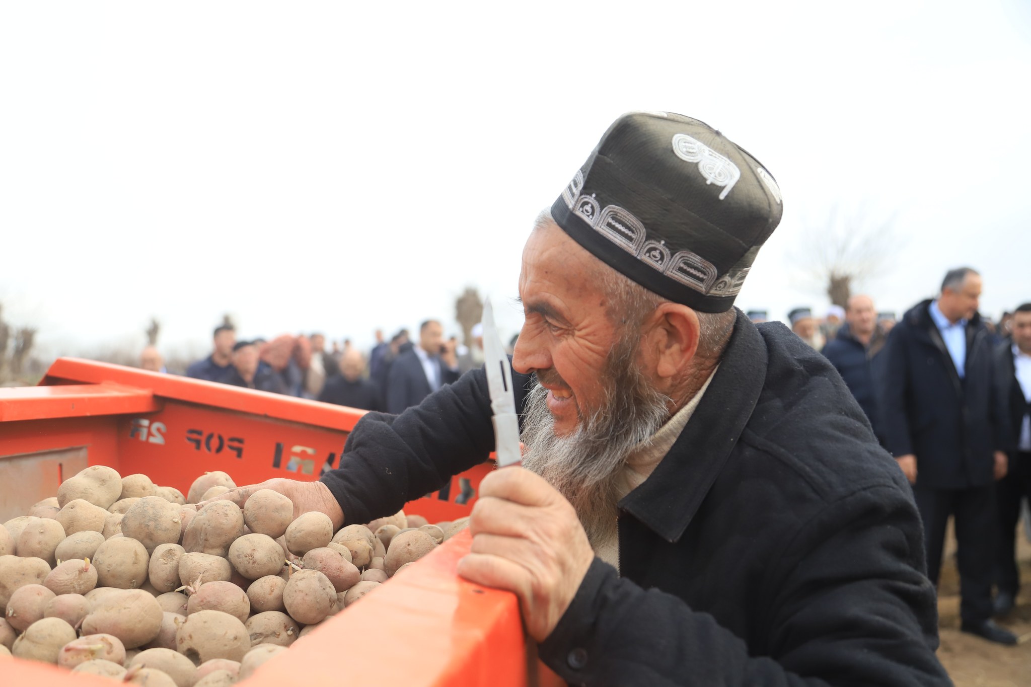 The head of Khatlon region took part in a potato planting event