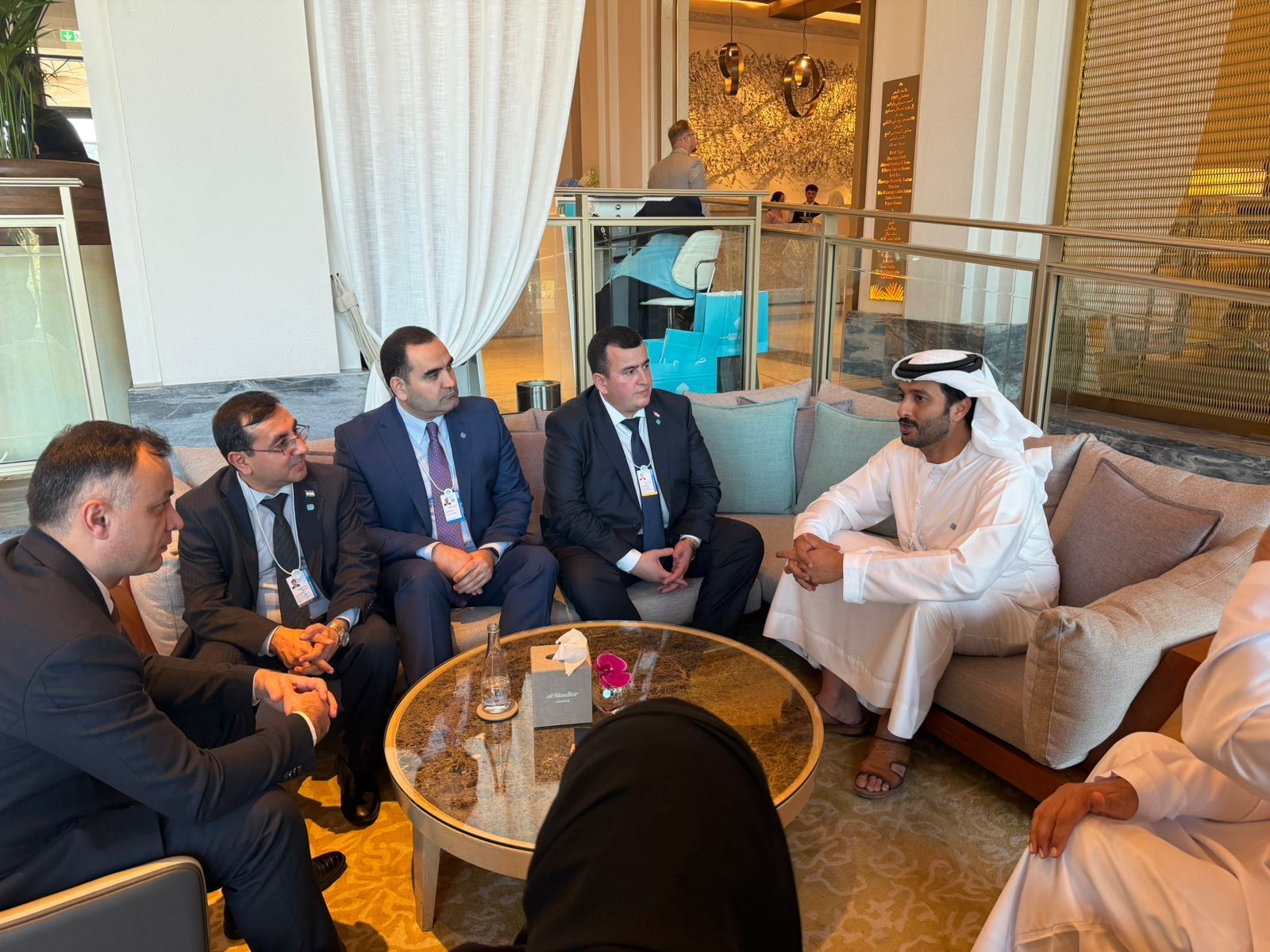 Tajikistan and the UAE discussed the development of green energy
