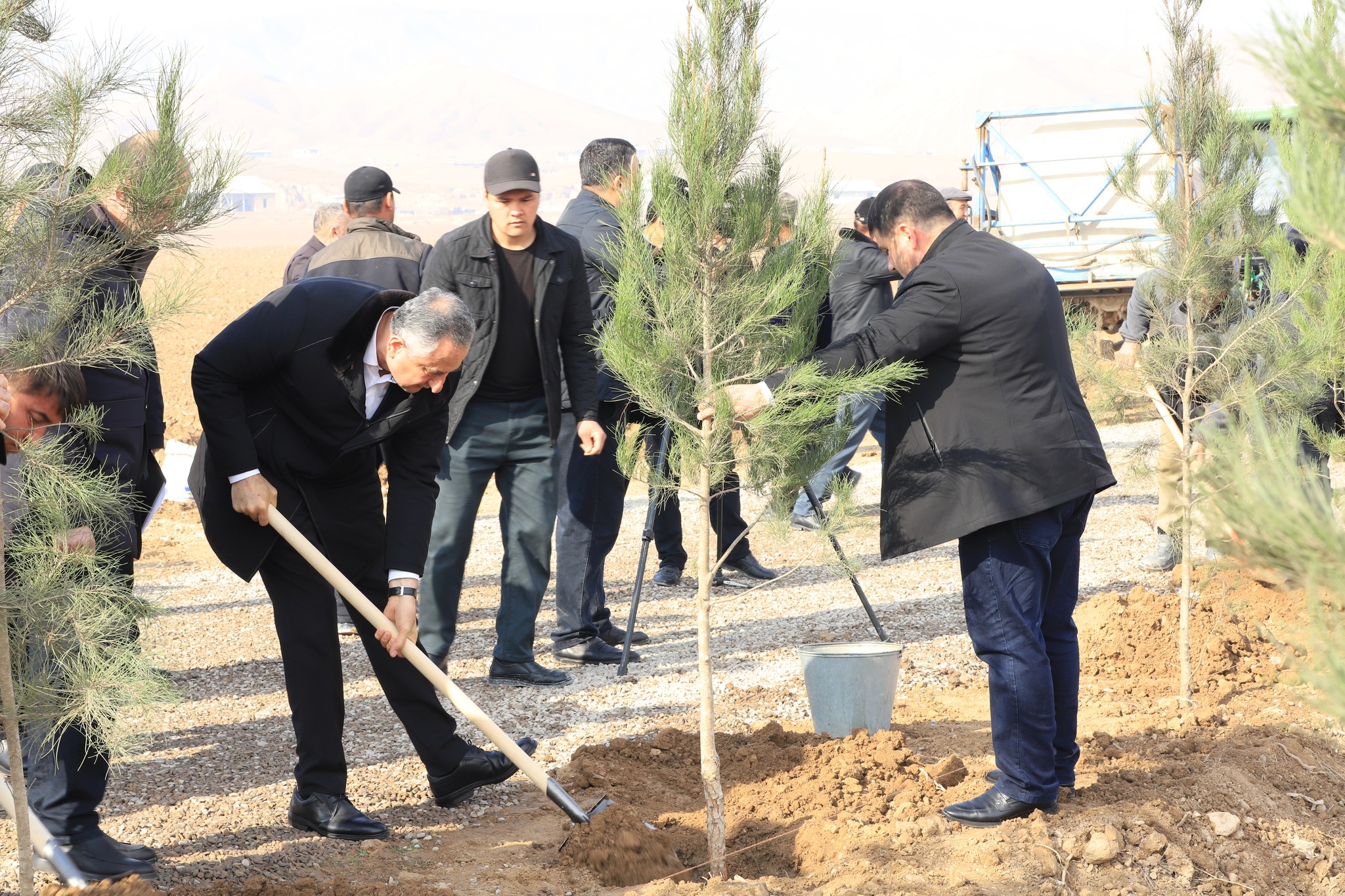 The Chairman of Khatlon Region took part in a tree planting campaign in the Dusti district.