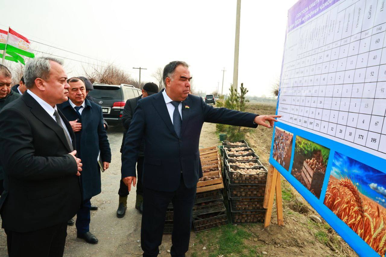 Spring field work has begun in Spitamensky District.