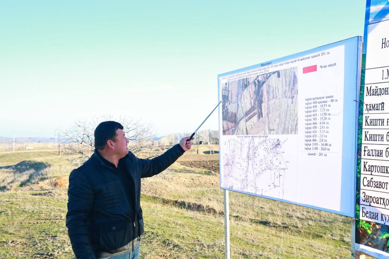 Potato crops will be expanded in the Shakhristan district through land development.