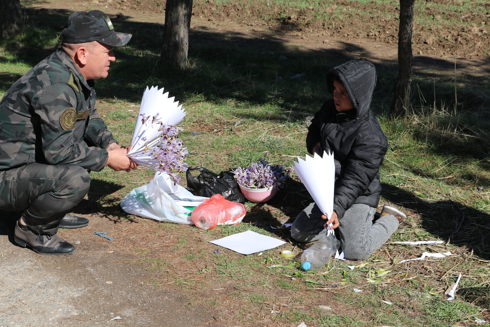 An attempt to illegally collect and sell snowdrops was stopped.