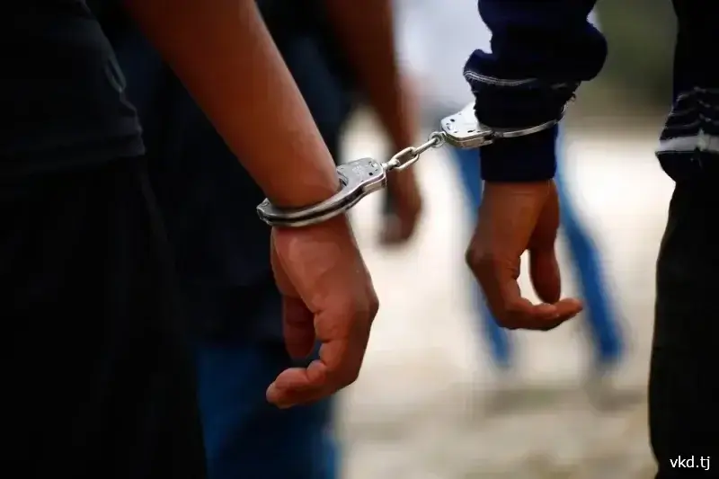 A series of thefts in Vahdat and Kushoniyon have been uncovered in Tajikistan.