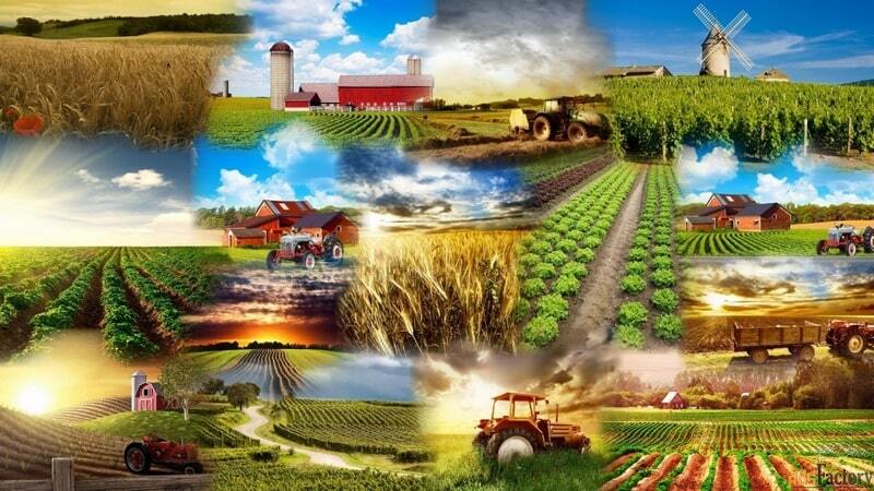 China has released its 2026 "Document No. 1" on agricultural modernization and rural revitalization.